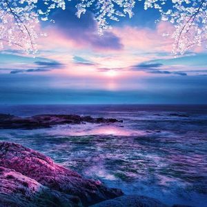 Meet your Posher, Nanette